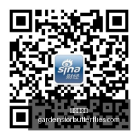 腾讯电竞馆,揭幕,红牛赞助助,爱游戏体育官网,爱游戏体育App,爱游戏体育下载,爱游戏体育登录,爱游戏体育平台
